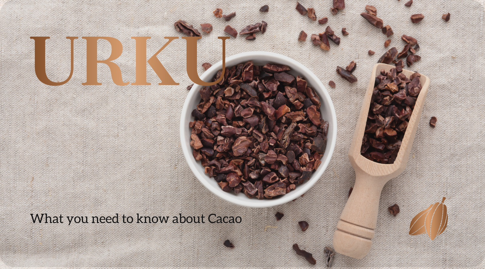 What you need to know about Cacao