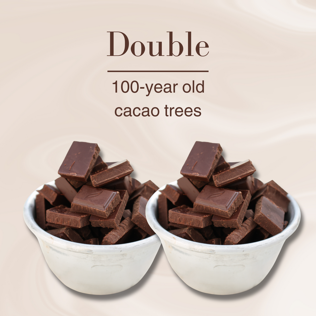 Dark Chocolate Tasting | 100-year old cacao trees