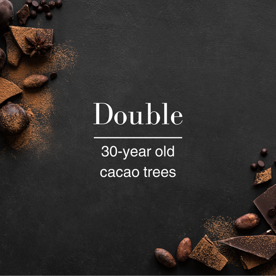 Dark Chocolate Tasting | 30-year old cacao trees