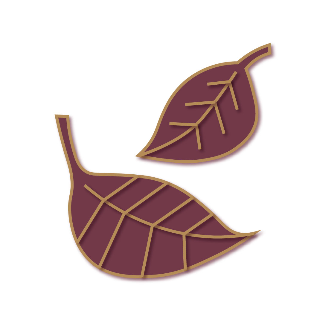 Kallari Chocolate Sustainable by Urku