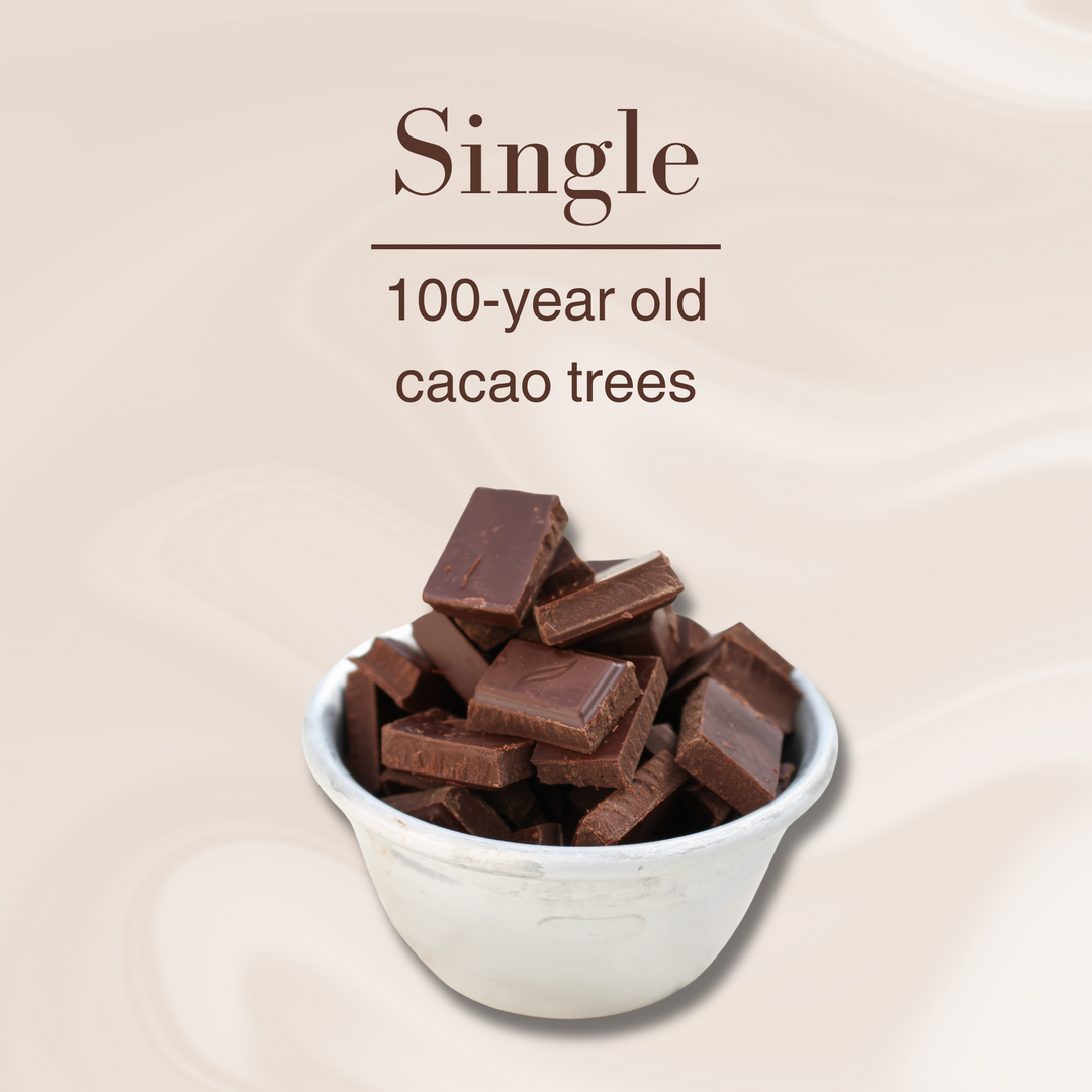 Dark Chocolate Tasting | 100-year old cacao trees