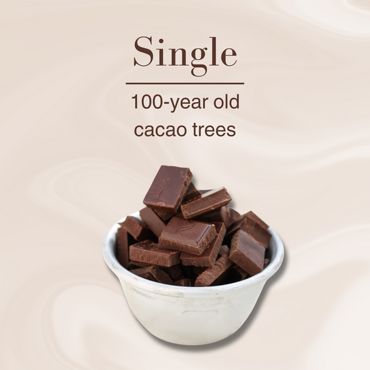Dark Chocolate Tasting | 100-year old cacao trees