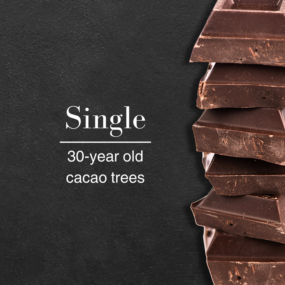 Dark Chocolate Tasting | 30-year old cacao trees