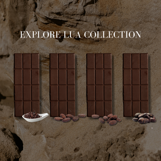 Dark Chocolate Tasting | 100-year old cacao trees