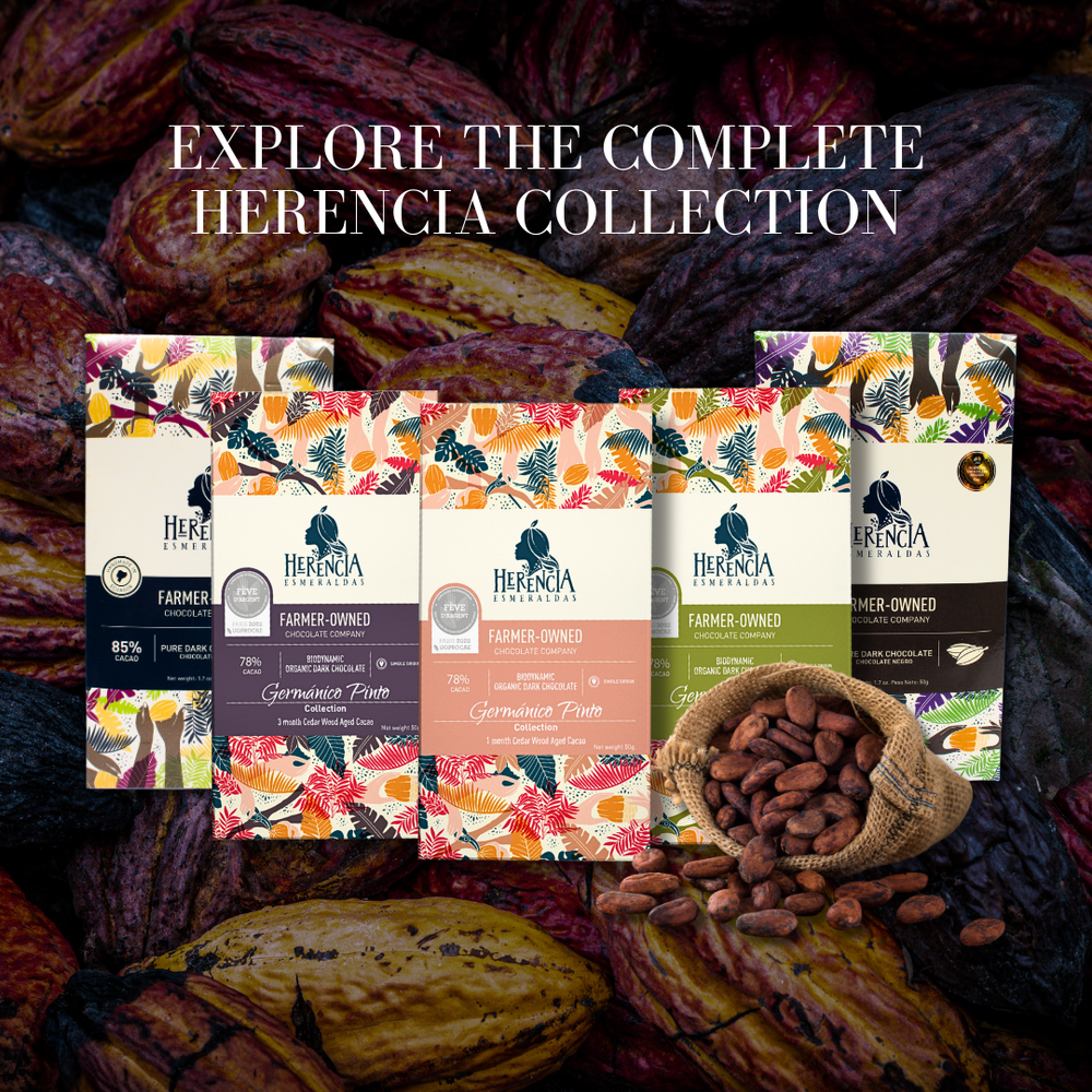 Dark Chocolate Tasting | 30-year old cacao trees