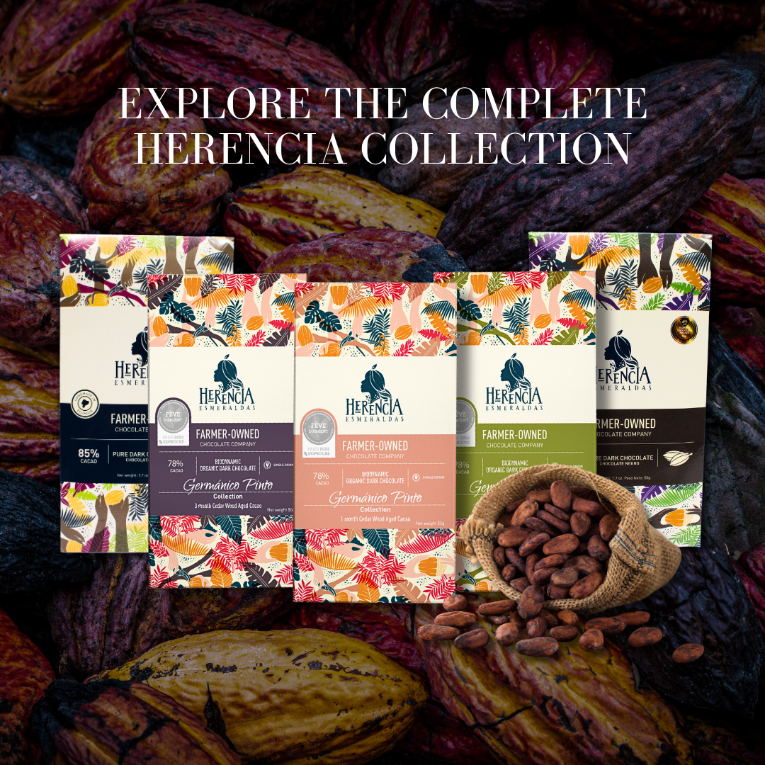 Dark Chocolate Tasting | 30-year old cacao trees