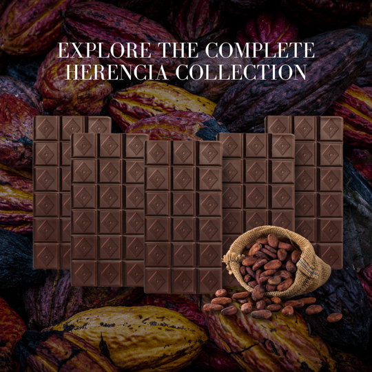 Dark Chocolate Tasting | 30-year old cacao trees