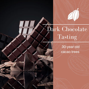 Dark Chocolate Tasting | 30-year old cacao trees