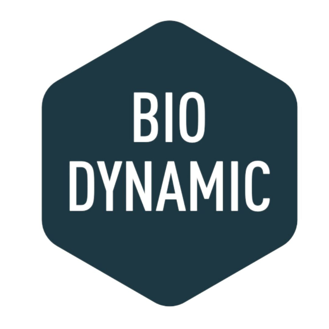 Germánico Pinto Symbol Bio Dynamic