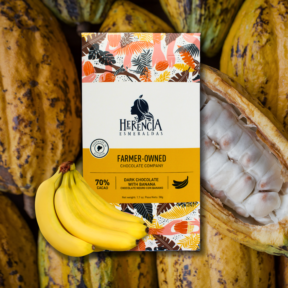 Herencia Banana Chips Bar
