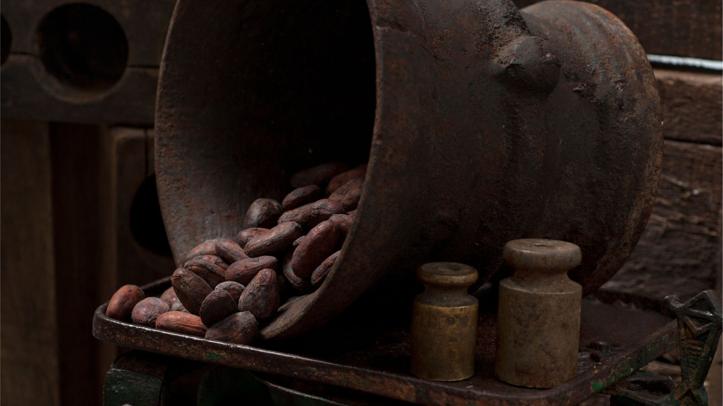 Urku Website Home Page Cacao Beans