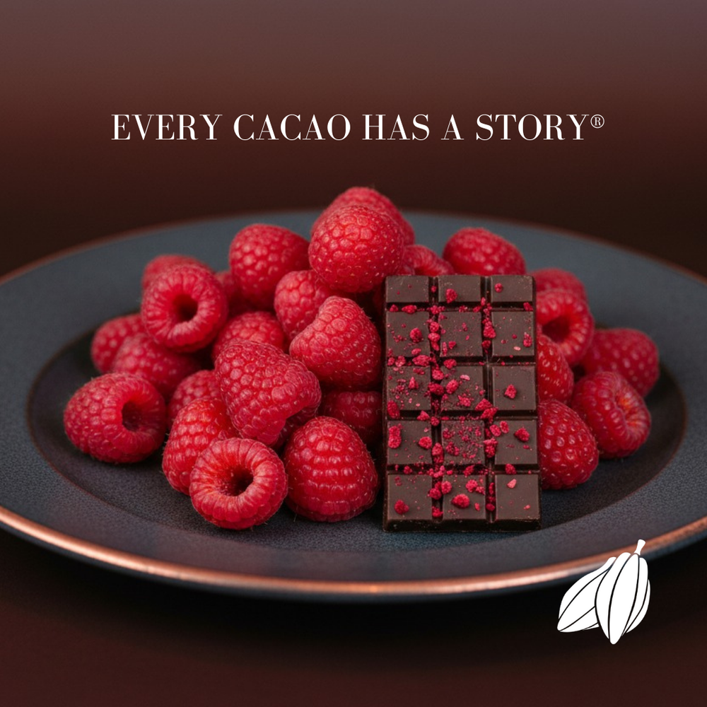 Raspberry Dark Chocolate Mini Bars Sleeve | URKU Artisan Ecuadorian Cacao