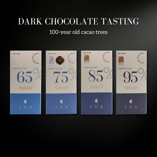 Dark Chocolate Tasting | 100-year old cacao trees