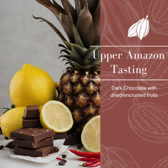 Dark Chocolate Tasting | Upper Amazon Cacao